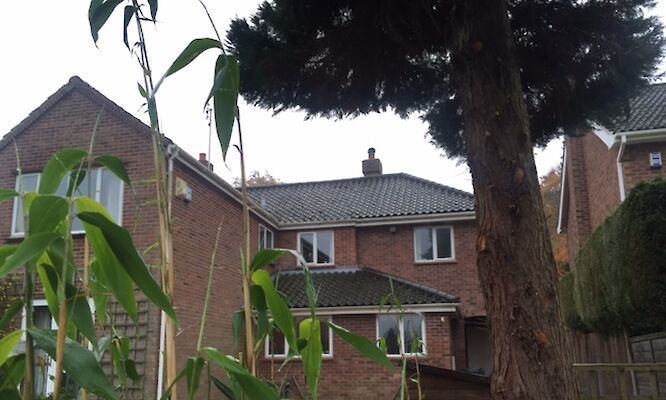 N&T Brown, Norwich Roofing